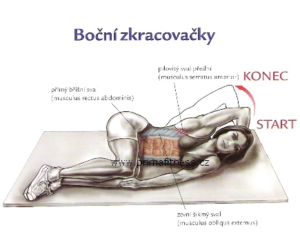 http://www.kulturistikaaposilovani.estranky.cz/img/original/10/bricho-05.jpg